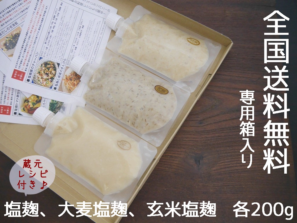 生塩麹 3種おためし（200g×3本）送料無料 同梱不可 お試し ネコポス