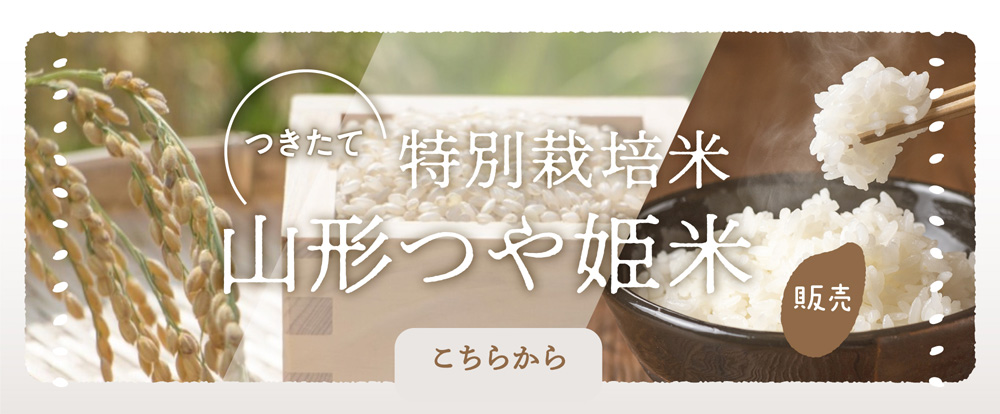 特別栽培米 山形つや姫の限定販売