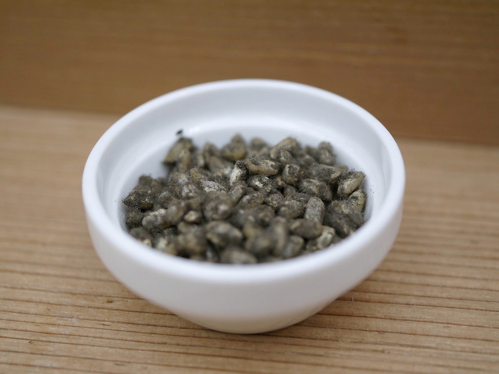 無農薬 有機肥料 乾燥黒麹 乾燥麹（400g）